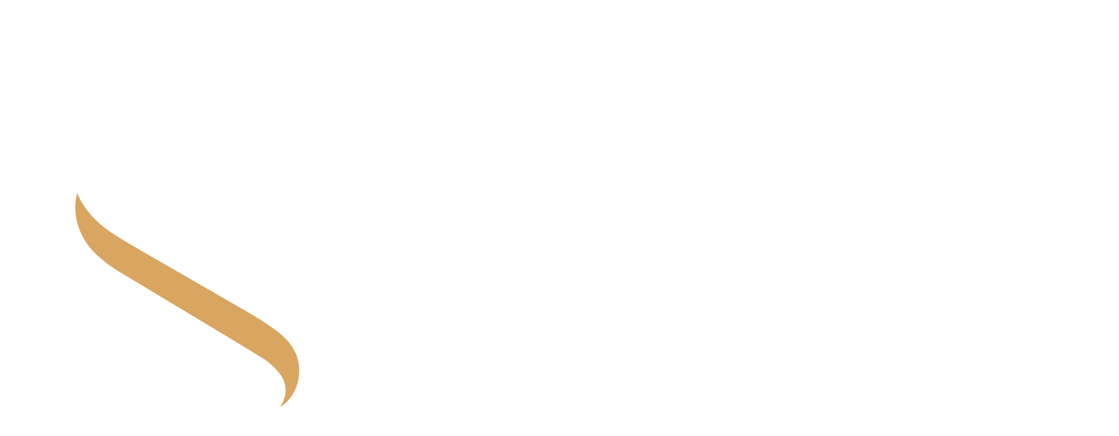 Step Luggage